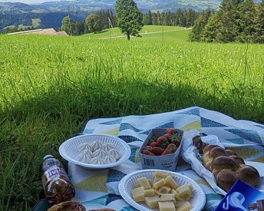 The Ultimate Guide to Planning the Perfect Picnic Set