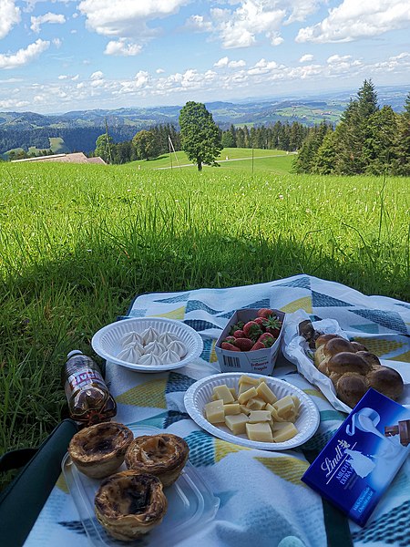 picnic