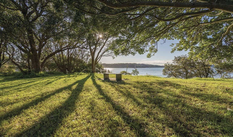 sydney picnic spot