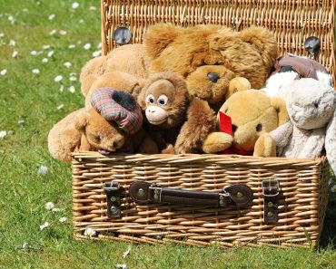 How to Host the Best Teddy Bear Picnic